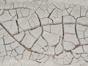 Close-up of cracked, dry earth depicting drought in an arid region, highlighting climate change and water scarcity.
